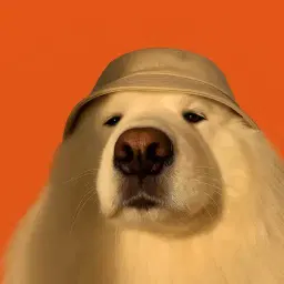 user profile image